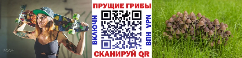 Галлюциногенные грибы MAGIC MUSHROOMS  OMG ТОР  Приморско-Ахтарск  закладки 