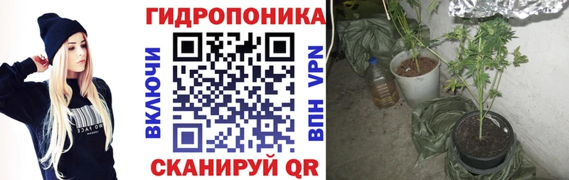 Конопля THC 21% Приморско-Ахтарск